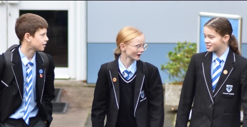 The Curriculum Introduction