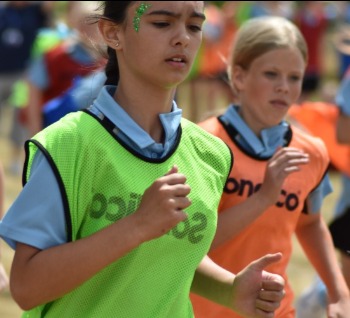 The Curriculum Introduction Biology