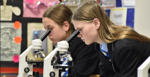 Alcester Academy curriculum